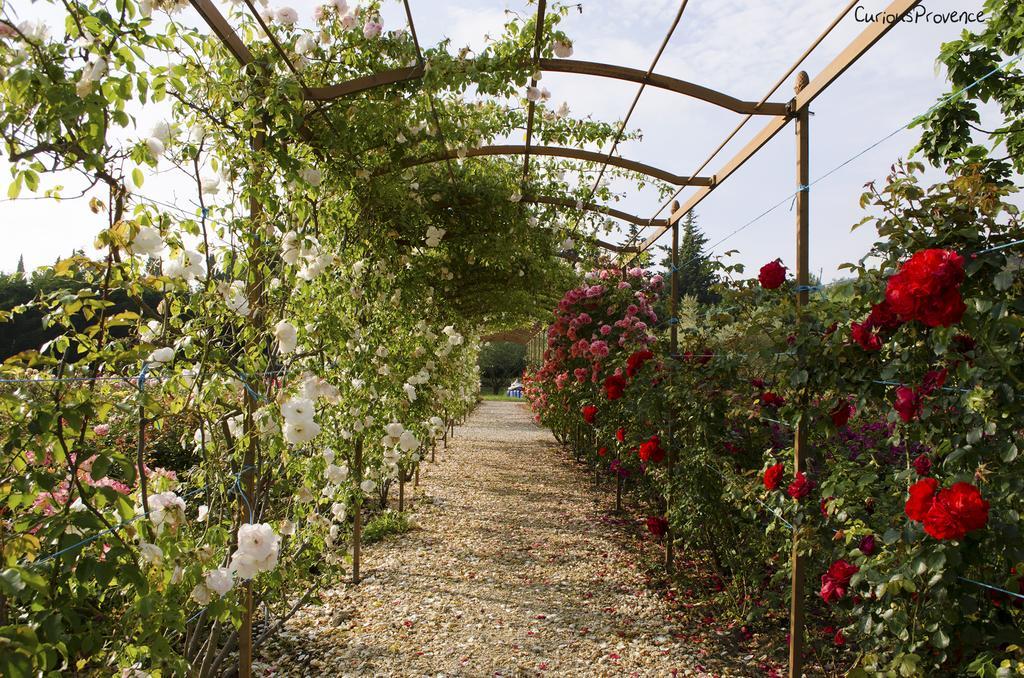Mas Des Figues: Provençal With Pool And Organic Cuisine