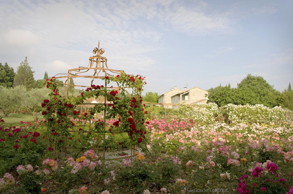 Bed & Breakfast Mas Des Figues: Provençal With Pool And Organic Cuisine Saint-Remy-de-Provence