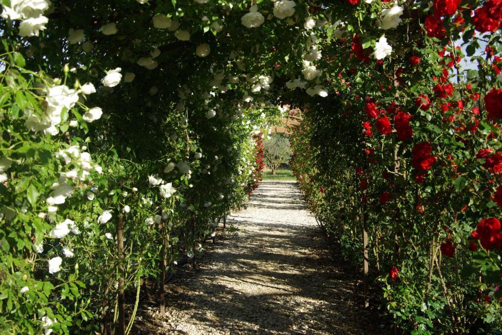Bed & Breakfast Mas Des Figues: Provençal With Pool And Organic Cuisine Saint-Remy-de-Provence