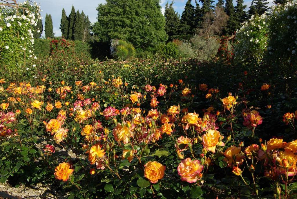 Mas Des Figues: Provençal With Pool And Organic Cuisine Bed & Breakfast 4*