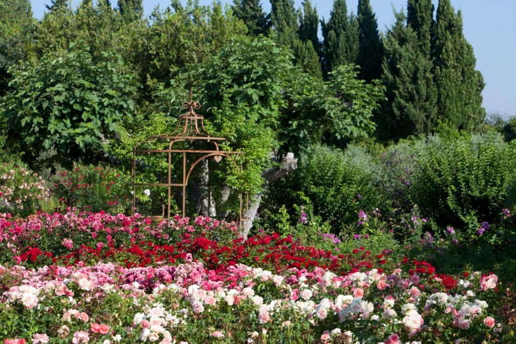 Mas Des Figues: Provençal With Pool And Organic Cuisine Bed & Breakfast Saint-Remy-de-Provence