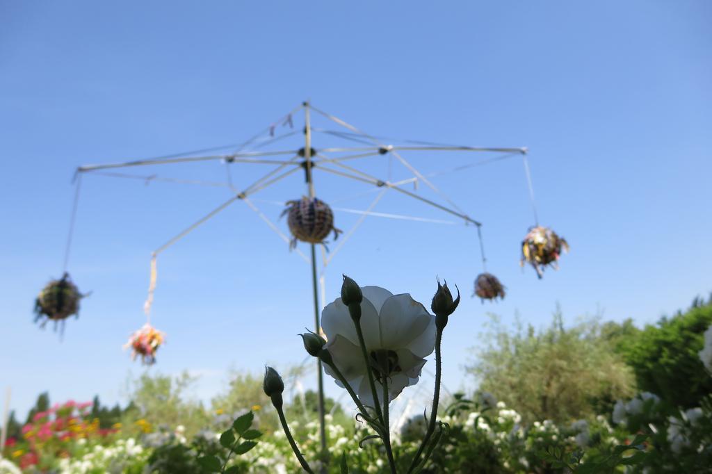 Mas Des Figues: Provençal With Pool And Organic Cuisine