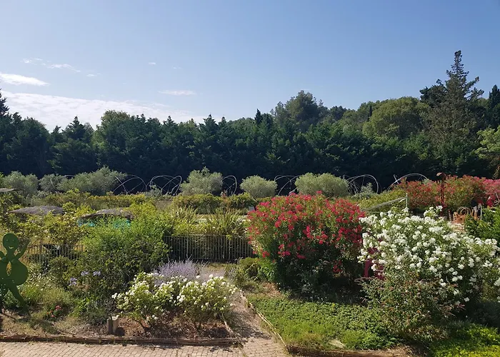 Mas des Figues La Ferme de Philippe #Ecotourism #Agrotourism #Ruraltourism #Countryhouselodge #zeropesticide #conversionbio #OrganicVegetarianBrunch