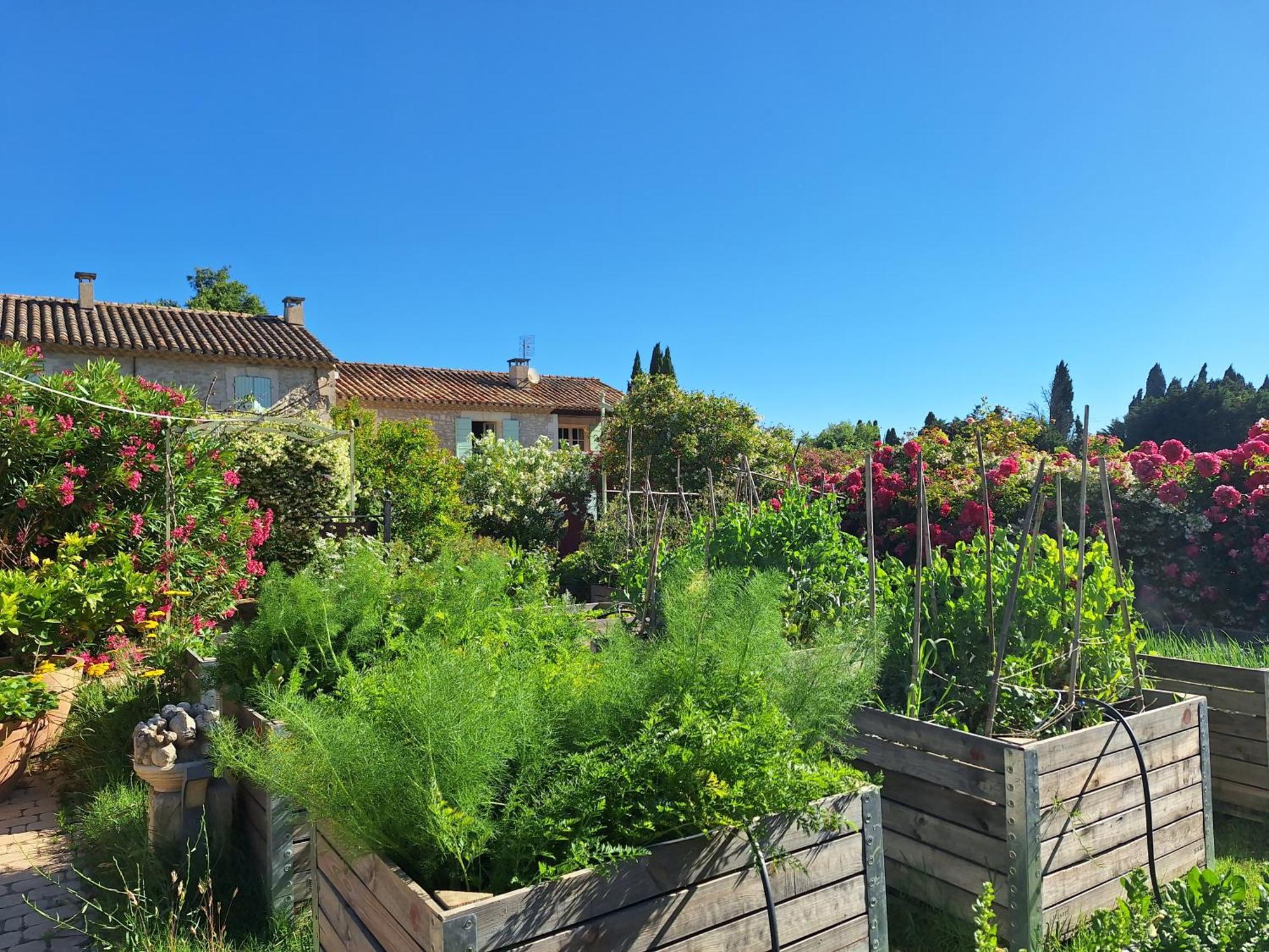 Mas des Figues La Ferme de Philippe #Ecotourism #Agrotourism #Ruraltourism #Countryhouselodge #zeropesticide #conversionbio #OrganicVegetarianBrunch Saint-Rémy-de-Provence