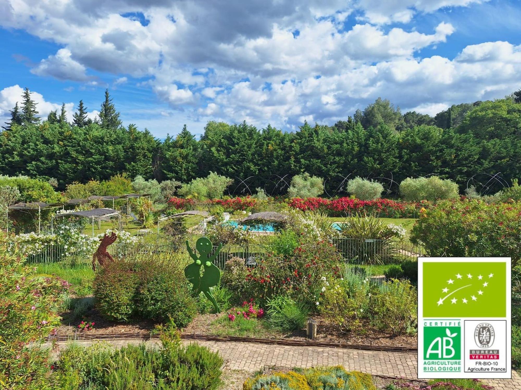 Couette-café Mas des Figues La Ferme de Philippe #Ecotourism #Agrotourism #Ruraltourism #Countryhouselodge #zeropesticide #conversionbio #OrganicVegetarianBrunch Saint-Rémy-de-Provence