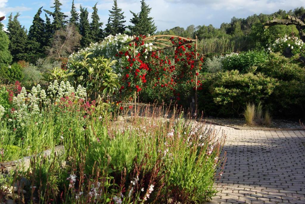 Mas Des Figues - Mas Xviiie - Ouvert 01 Mai Au 30 Septembre 2025 - Piscine Tres Calme - Alpilles Remy De Provence - Cuisine Faite Maison Brunch Mediterraneen - Certifie Biologique Frbio10 Potager Huile D'olive Bio Roseraie Biodiversite Agritour 4* Saint-Rémy-de-Provence