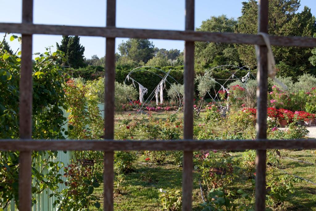 Bed & Breakfast Mas Des Figues - Mas Xviiie - Ouvert 01 Mai Au 30 Septembre 2025 - Piscine Tres Calme - Alpilles Remy De Provence - Cuisine Faite Maison Brunch Mediterraneen - Certifie Biologique Frbio10 Potager Huile D'olive Bio Roseraie Biodiversite Agritour Saint-Rémy-de-Provence