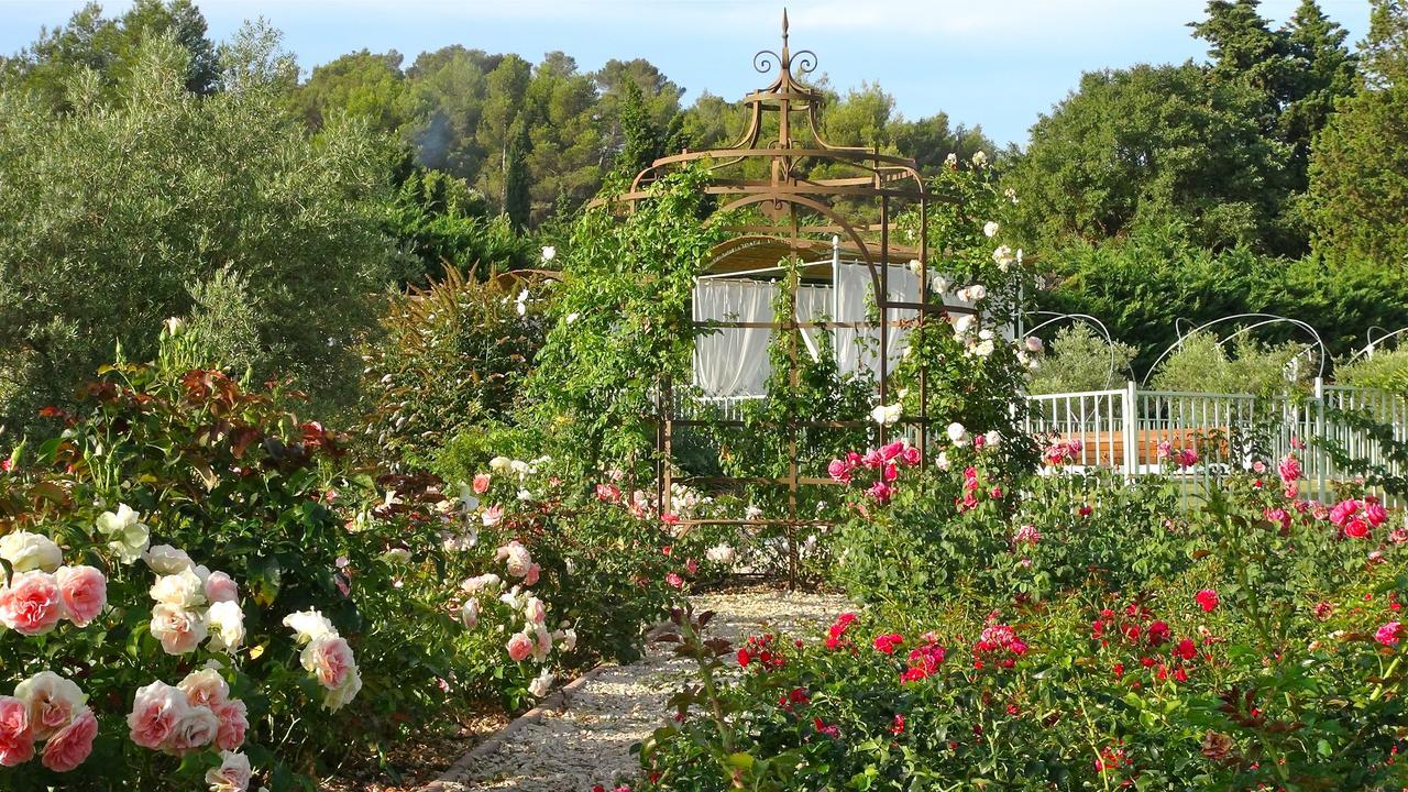 Mas des Figues La Ferme de Philippe #Ecotourism #Agrotourism #Ruraltourism #Countryhouselodge #zeropesticide #conversionbio #OrganicVegetarianBrunch