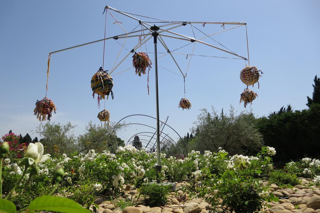 Bed & Breakfast Mas Des Figues - Mas Xviiie - Tres Calme - Certifie Biologique Frbio10- Piscine Roseraie - Cuisine Maison Brunch Paysan Mediterraneen Potager Huile D'Olive Bio - Agritourisme - Alpilles Saint Remy De Provence - Ouvert Du 01E Mai Au 30 Septembre - 4*
