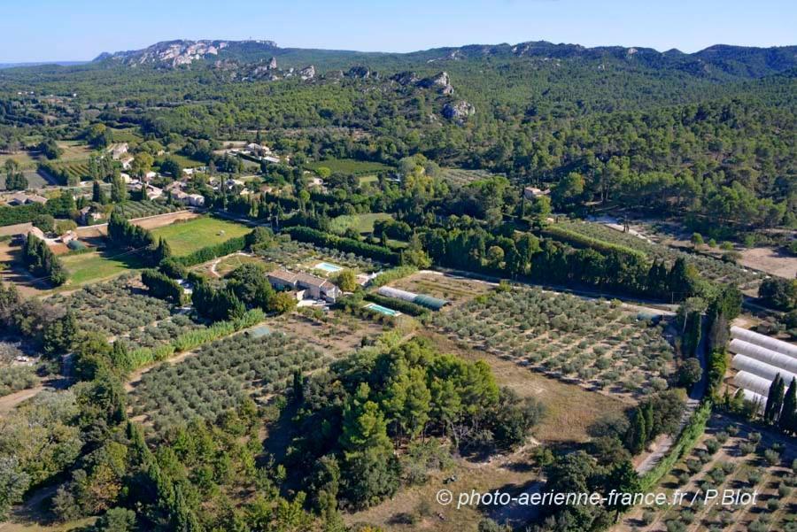 Mas des Figues La Ferme de Philippe #Ecotourism #Agrotourism #Ruraltourism #Countryhouselodge #zeropesticide #conversionbio #OrganicVegetarianBrunch Saint-Rémy-de-Provence
